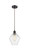 Ballston One Light Mini Pendant in Oil Rubbed Bronze (405|516-1P-OB-G654-8)