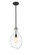 Norwalk One Light Mini Pendant in Matte Black (405|493-1S-BK-G552-9)