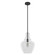 Maple Park One Light Pendant in Noble Bronze (47|19566)