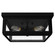 Felippe Four Light Flush Mount in Natural Black Iron (47|19269)