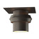 Twilight One Light Outdoor Semi-Flush Mount in Coastal Dark Smoke (39|364903-SKT-77)