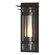 Torch One Light Outdoor Wall Sconce in Coastal Oil Rubbed Bronze (39|305999-SKT-14-ZS0664)