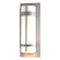 Banded One Light Outdoor Wall Sconce in Coastal Burnished Steel (39|305895-SKT-78-GG0240)