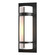 Banded One Light Outdoor Wall Sconce in Coastal Bronze (39|305894-SKT-75-GG0037)