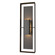 Shadow Box Two Light Outdoor Wall Sconce in Coastal Oil Rubbed Bronze (39|302607-SKT-14-14-ZM0546)