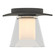 Wren One Light Semi-Flush Mount in Natural Iron (39|126601-SKT-20-ZU0284)