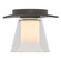 Wren One Light Semi-Flush Mount in Dark Smoke (39|126601-SKT-07-ZU0284)
