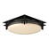 Banded Two Light Semi-Flush Mount in Black (39|124394-SKT-10-GG0097)