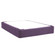 Bedroom Furniture Boxspring Cover in Bella Eggplant (204|243-223)