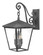 Trellis LED Wall Mount in Aged Zinc (13|1435DZ)