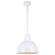 Warehouse One Light Pendant in White (381|H-QSN16112-SA-93/QSN24``ST3-93/QSNHSC-93)