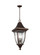 Oakmont Three Light Outdoor Pendant in Patina Bronze (454|OL13109PTBZ)