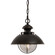 Harwich One Light Outdoor Pendant in Burnished Bronze (63|OD21506BBZ)