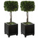 Preserved Boxwood Topiaries, S/2 in Satin Black (52|60187)