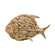 Islamorada Decorative Object in Natural (45|2181-023)