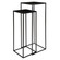 Coreene Nesting Pedestal Tables, S/2 in Aged Black Iron (52|25121)