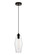 Placido One Light Pendant in Black and Clear (173|LDPD2119)