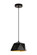 Arden One Light Pendant in Black (173|LDPD2079)