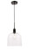 Gabe One Light Pendant in Black and Clear seeded glass (173|LD6213BK)