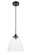 Frey One Light Pendant in Black and Clear glass (173|LD5029D11BK)