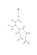 Cavoli 11 Light Chandelier in Brass (173|1712G73BR)