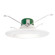 Retro Fit Downlight LED Recessed Light in White (217|203972A)