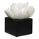 Quartz Sculpture in Black And White Crystal (208|02582)