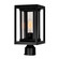 Mulvane One Light Outdoor Lantern Head in Black (401|0415PT7-1-101)