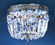 Crystal Baskets Two Light Flush/Semi-Flush Mount in Millennium Silver (92|52208 MS CP)