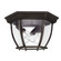 Outdoor Three Light Outdoor Flush Mount in Old Bronze (65|9802OB)