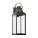 Bradford One Light Outdoor Wall Lantern in Oiled Bronze (65|946431OZ-GL)