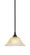 Any One Light Mini Pendant in Dark Granite (200|23-DG-730)