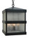 Barcelona Four Light Pendant in Bronze (37|BAH-12CLR-BZ)