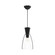 Arlo One Light Pendant in Clear Glass/Matte Black (452|PD534007MBCL)