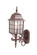 Nautica One Light Wall Sconce in Burled Walnut (106|5301BW)