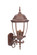 Wexford Three Light Wall Sconce in Burled Walnut (106|5013BW)