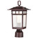 Cove Neck One Light Outdoor Post Lantern in Rustic Bronze (72|60-5955)