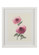 Bradshaw Orrell Flower Study Iii in White Frame - White Double Mat (460|386703)