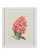 Bradshaw Orrell Flower Study I in White Frame - White Double Mat (460|386701)