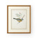 Chelsea House Misc Delicate Birds V in White/Cream (460|386346)