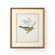 Chelsea House (General) Delicate Birds V in Gold Frame-Double May W/French Lines (460|386346)