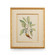 Chelsea House (General) Catesby Bird & Botanical V in Gold Leaf Frame - Linen Mat Fillet (460|386179)