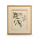 Chelsea House (General) Catesby Bird & Botanical I in Gold Leaf Frame - Linen Mat/Fillet (460|386175)