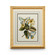 Chelsea House (General) Butterfly Oasis Iv in Gold Leafed Frame With French Mat (460|386098)
