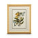 Chelsea House (General) Butterfly Oasis Ii in Gold Leafed Frame With French Mat (460|386096)