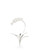 Bradshaw Orrell Stem in Matte White/Antique Silver Leaf (460|384774)
