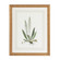 Chelsea House (General) Curtis Ferns Iii in Gold Frame With French Mat (460|380371)