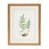 Chelsea House (General) Curtis Ferns Ii in Gold Frame With French Mat (460|380370)