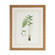 Chelsea House (General) Curtis Ferns I in Gold Frame With French Mat (460|380369)