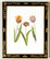 Chelsea House (General) Tulip/Dec.Frame(988) in Black Frame With Gold Decoration (460|380353)